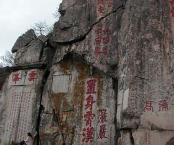 独居老人命悬一线，泰安市立医院开通绿色通道紧急救援